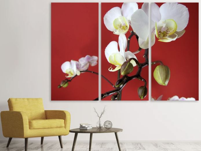 Leinwandbilder Orchideen