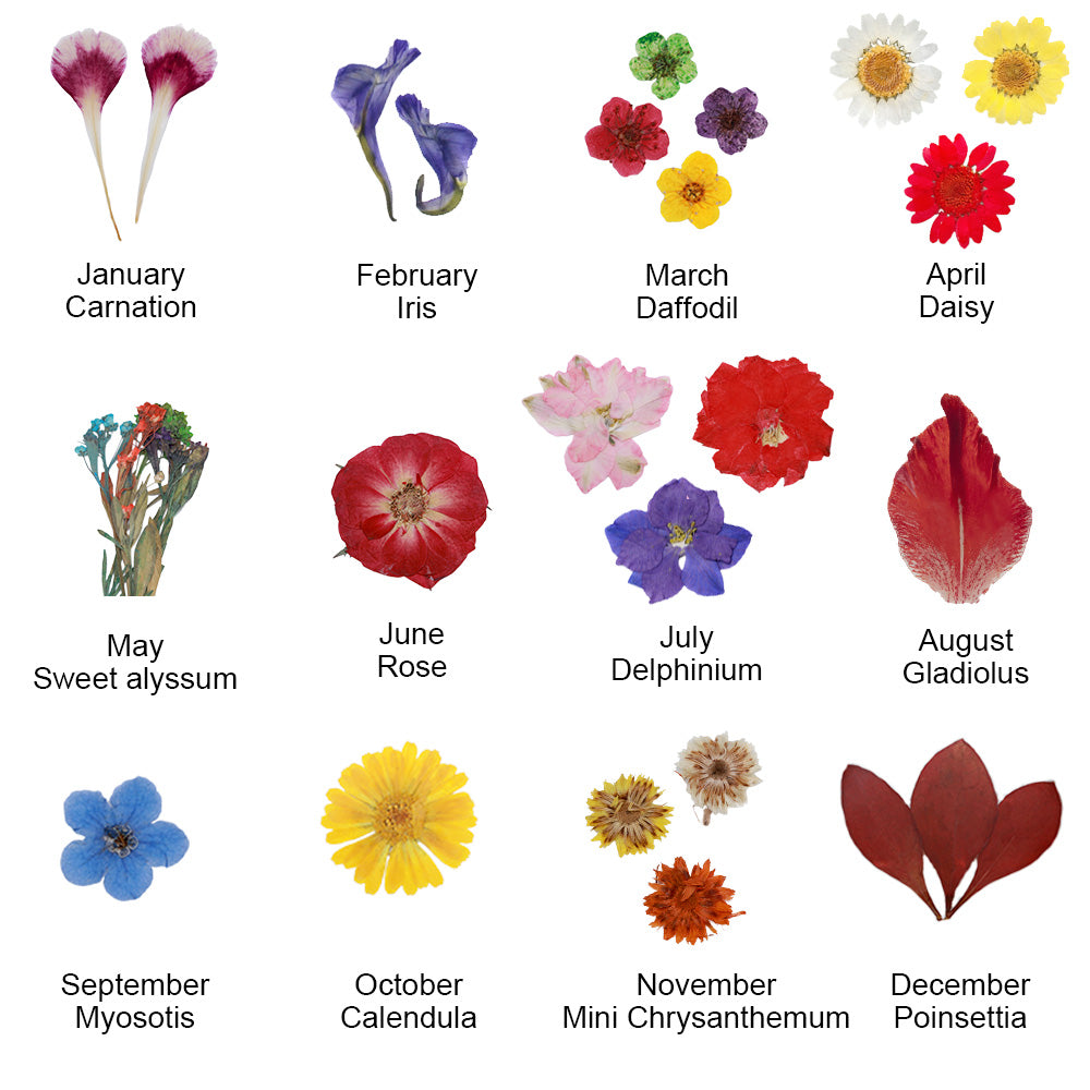 Halskette Geburtsblume personalisiert