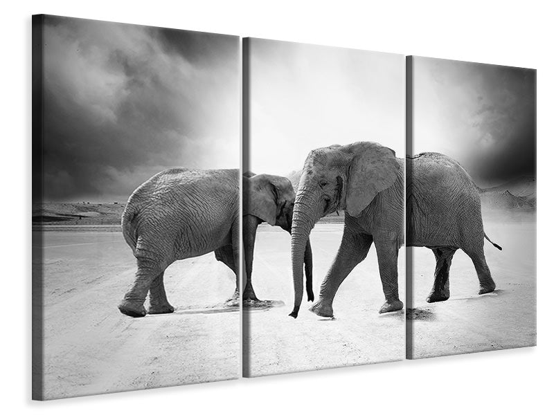 Leinwandbild 3-teilig 2 Elefanten sw
