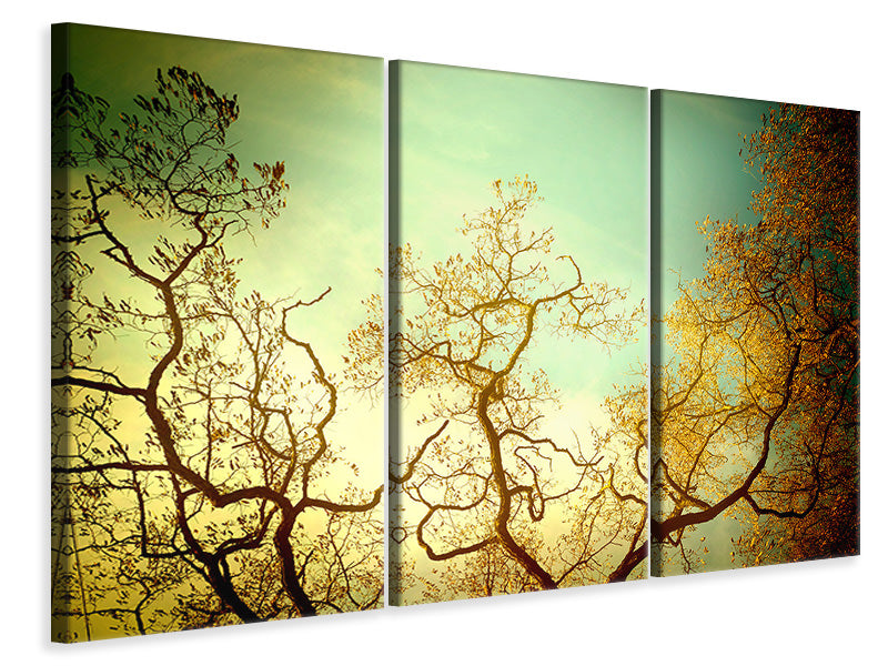 Leinwandbild 3-teilig Bäume im Herbst