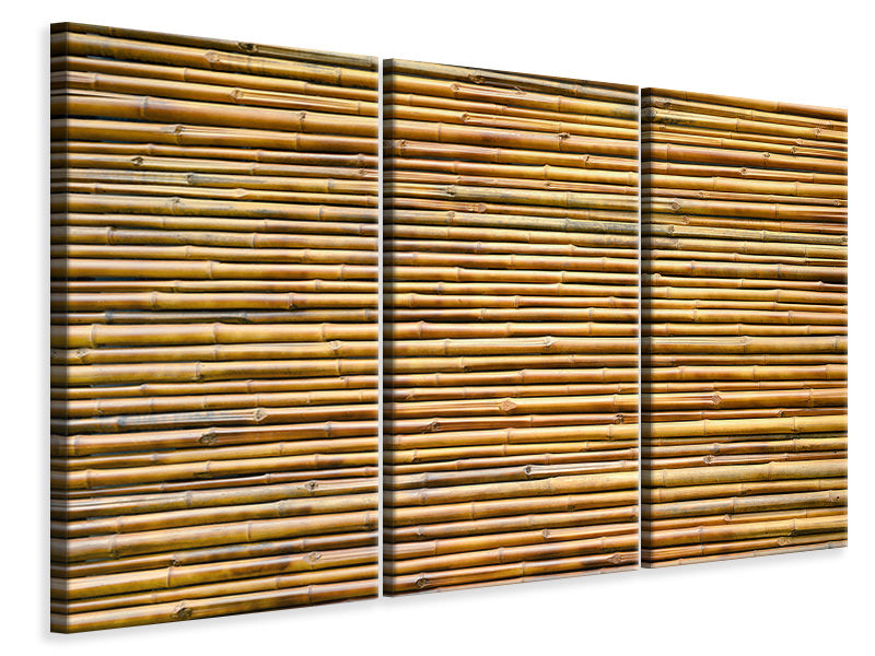 Leinwandbild 3-teilig Bambus