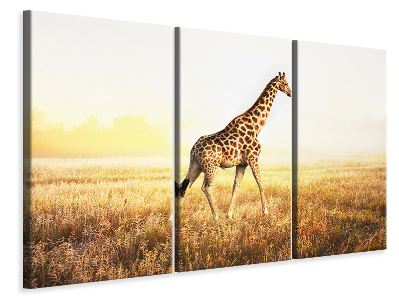 Leinwandbild 3-teilig Die Giraffe