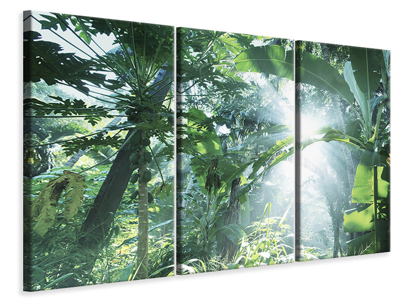 Leinwandbild 3-teilig Dschungelstar