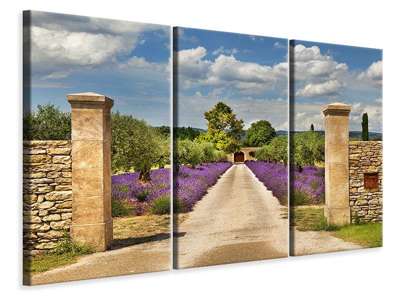 Leinwandbild 3-teilig Lavendel-Garten
