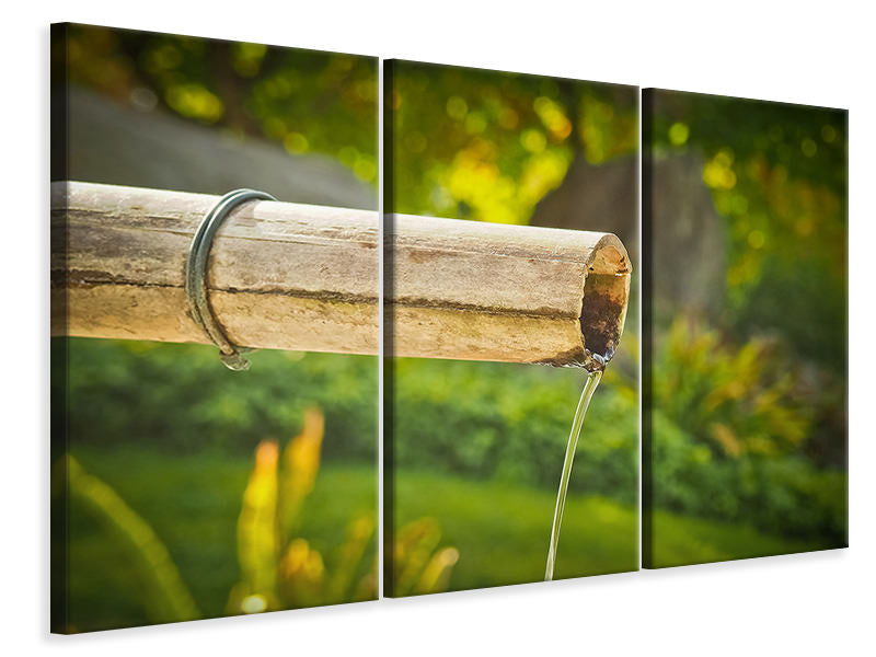 Leinwandbild 3-teilig Das Bambus Rohr