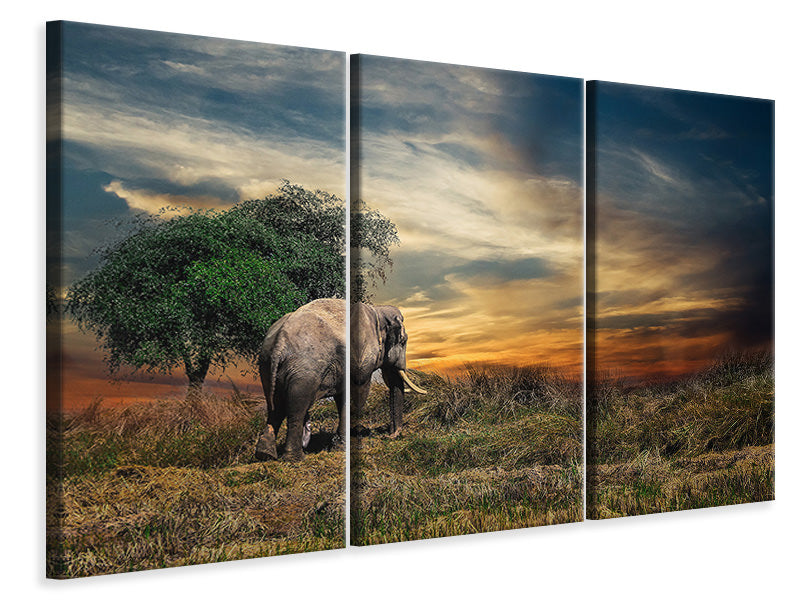 Leinwandbild 3-teilig Der Elefant im Sonnenuntergang