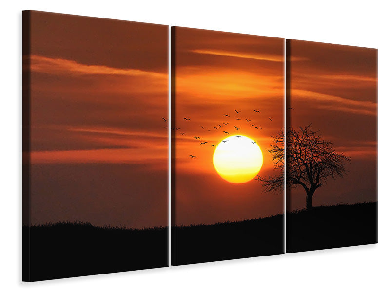 Leinwandbild 3-teilig Der Sonnenuntergang am Horizont