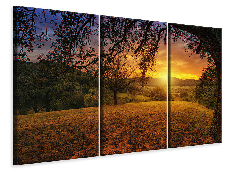 Leinwandbild 3-teilig Eine Landschaft im Sonnenuntergang