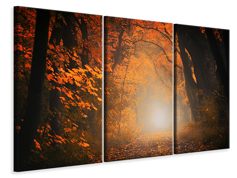 Leinwandbild 3-teilig Herbstlicht im Wald