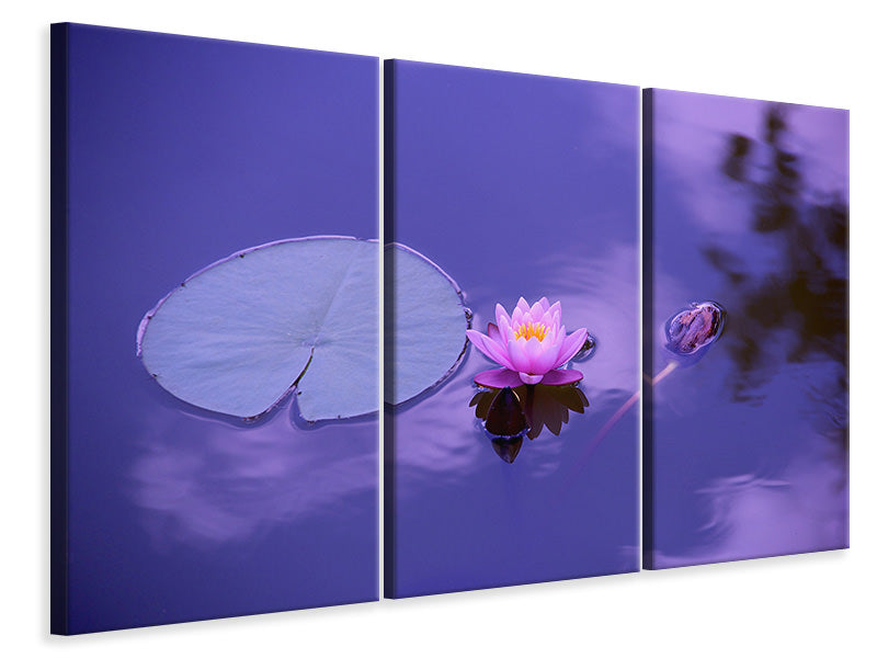 Leinwandbild 3-teilig Lotus Blüte