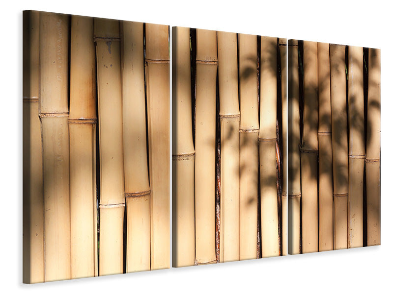 Leinwandbild 3-teilig Natürlicher Bambus