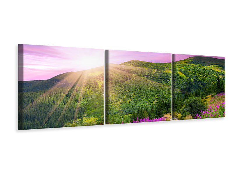 Panorama Leinwandbild 3-teilig Eine Sommerlandschaft bei Sonnenaufgang