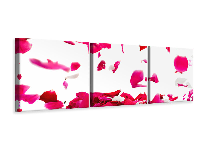 Panorama Leinwandbild 3-teilig Für mich soll`s rote Rosen regnen