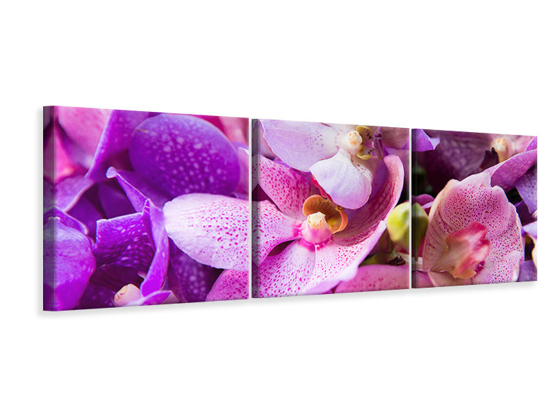 Panorama Leinwandbild 3-teilig Im Orchideenparadies