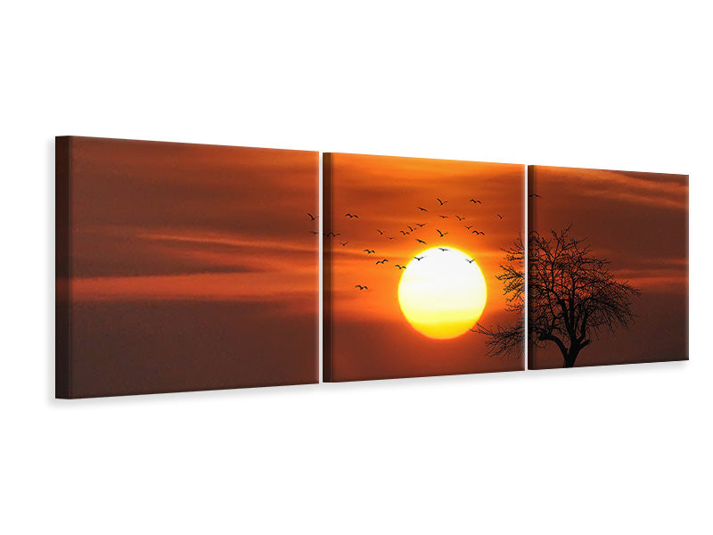 Panorama Leinwandbild 3-teilig Der Sonnenuntergang am Horizont