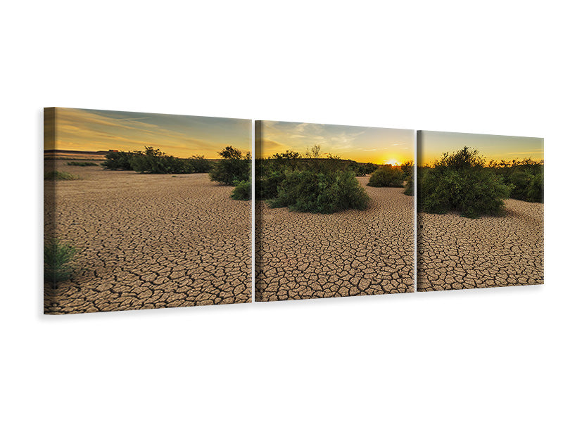 Panorama Leinwandbild 3-teilig Die Dürre