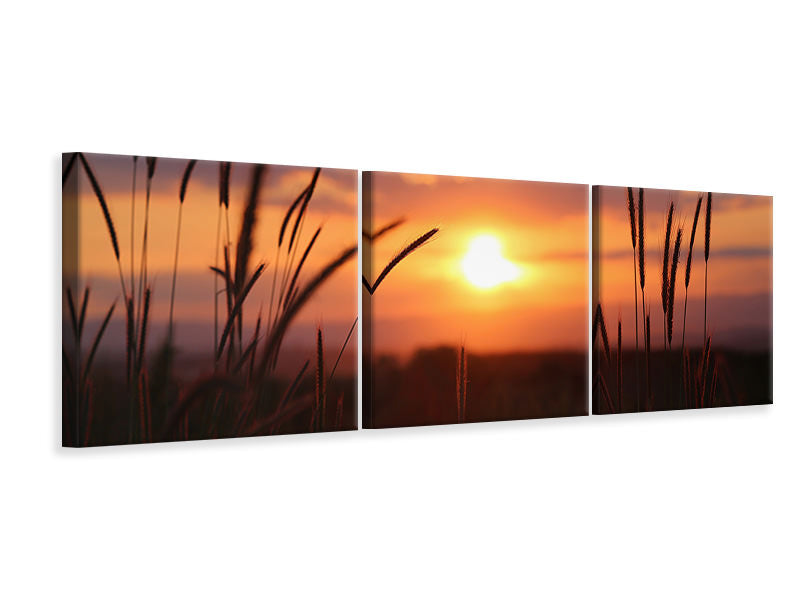Panorama Leinwandbild 3-teilig Entzückender Sonnenuntergang