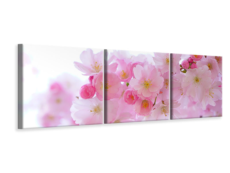Panorama Leinwandbild 3-teilig Japanische Kirschblüte XL