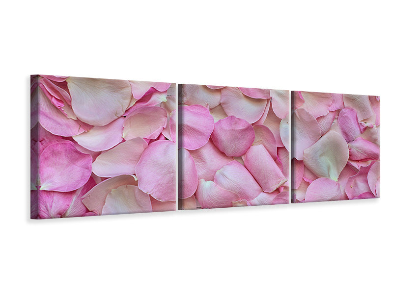 Panorama Leinwandbild 3-teilig Rosenblüten in rosa