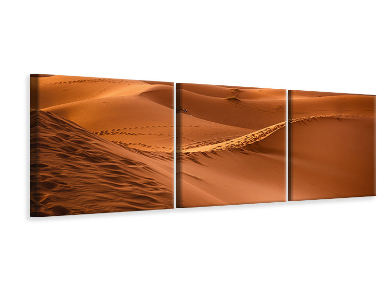 Panorama Leinwandbild 3-teilig Spuren in der Wüste