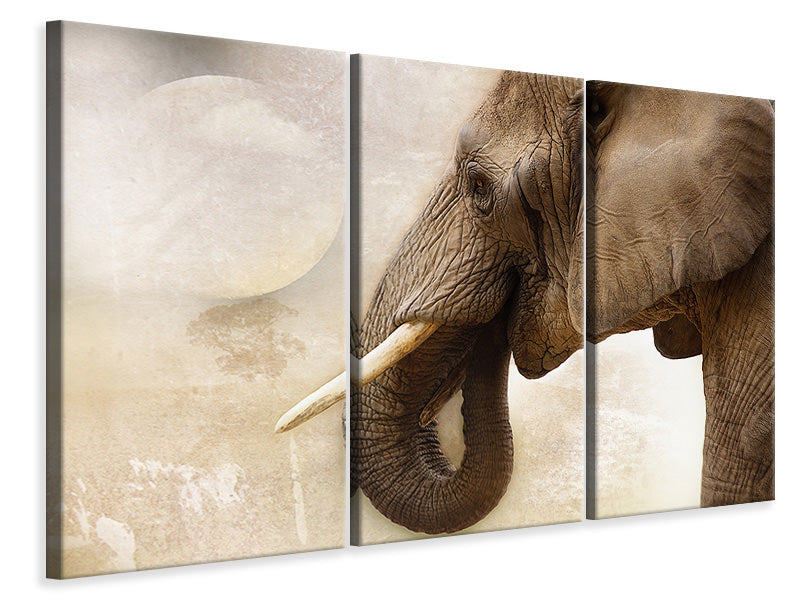 Leinwandbild 3-teilig Portrait eines Elefant