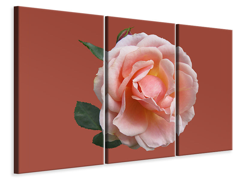 Leinwandbild 3-teilig Rose in rosa XXL