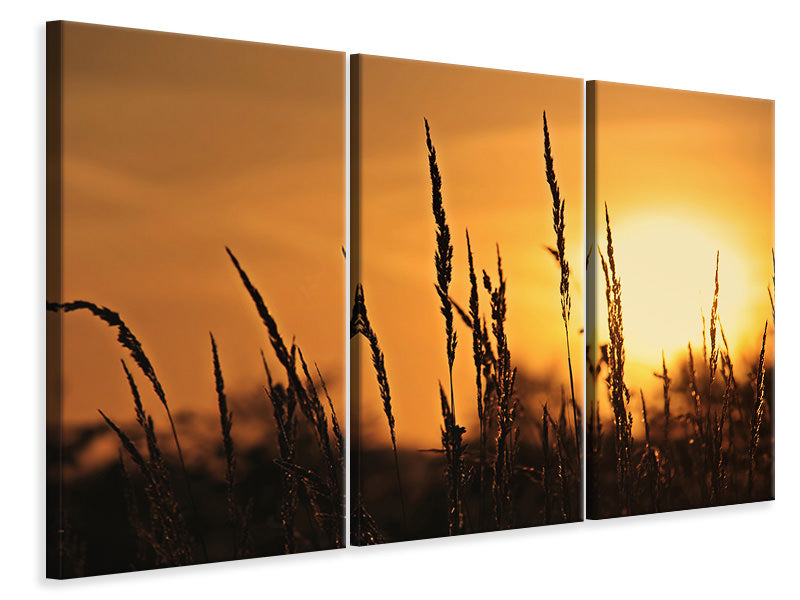 Leinwandbild 3-teilig Sonnenaufgang auf dem Feld
