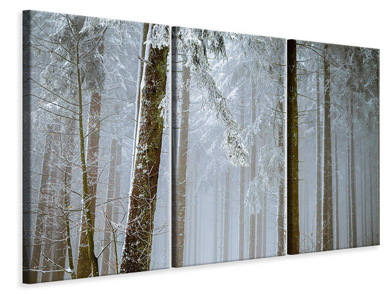 Leinwandbild 3-teilig Wald im Winter