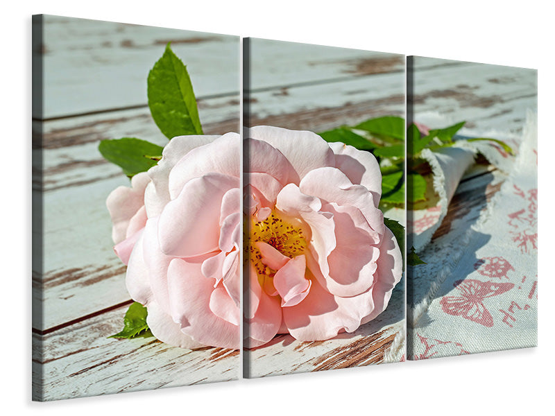 Leinwandbild 3-teilig Wildrose in rosa