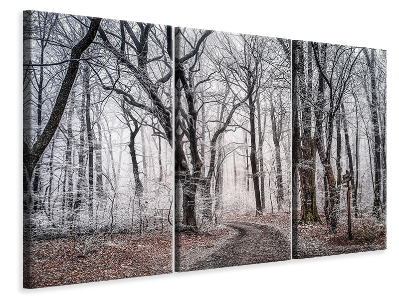 Leinwandbild 3-teilig Winterlicher Wald