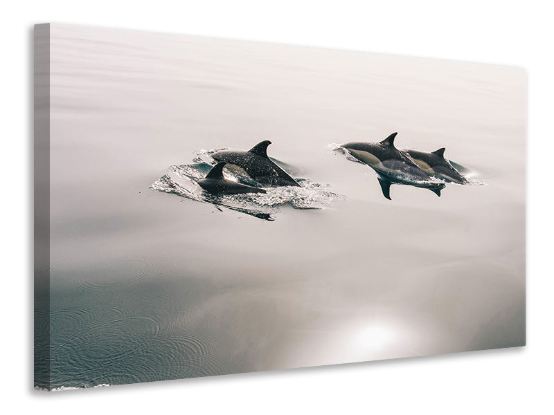 Leinwandbild Die Delfine