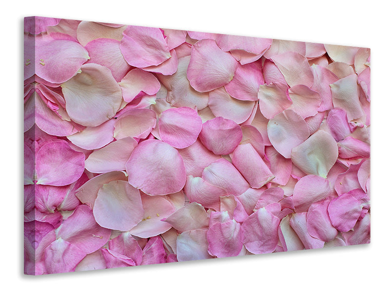 Leinwandbild Rosenblüten in rosa