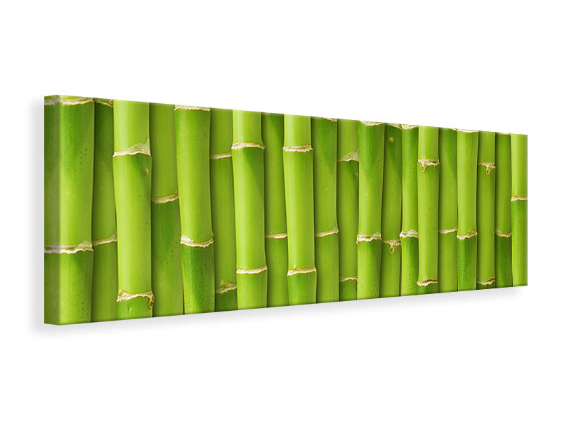 Leinwandbild Panorama Bambuswand