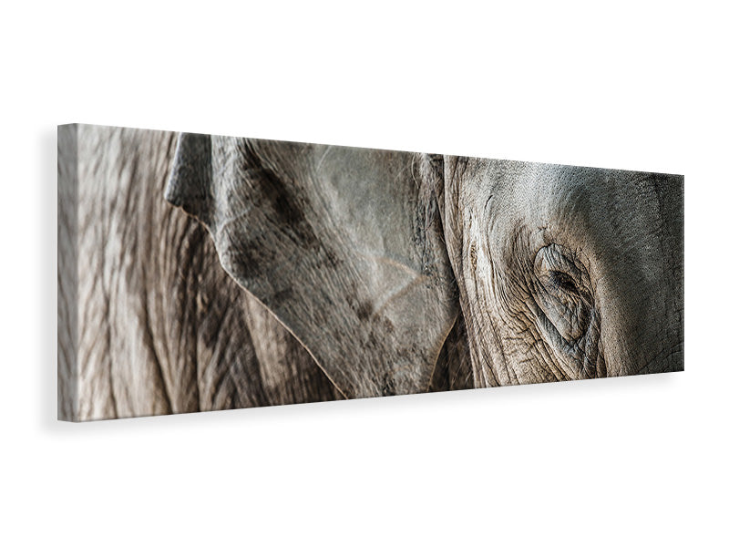 Leinwandbild Panorama Close Up Elefant