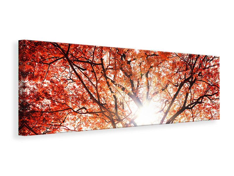 Leinwandbild Panorama Herbstlicht