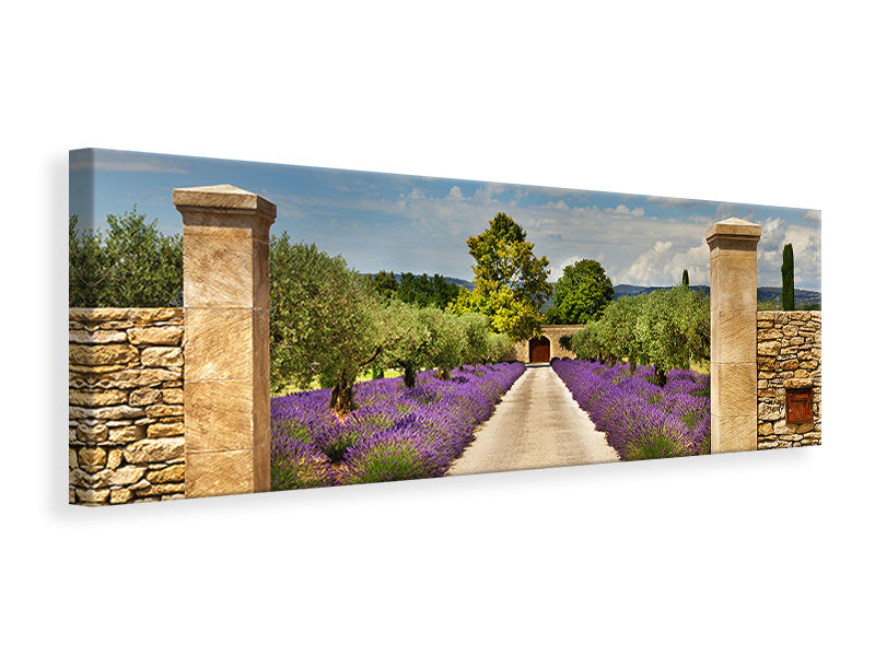 Leinwandbild Panorama Lavendel-Garten