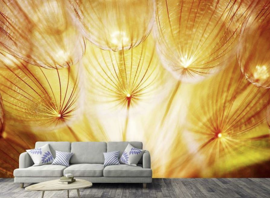 Wunderschöne strahlende Pusteblume auf Fototapete für Wohnzimmer Ambiente
