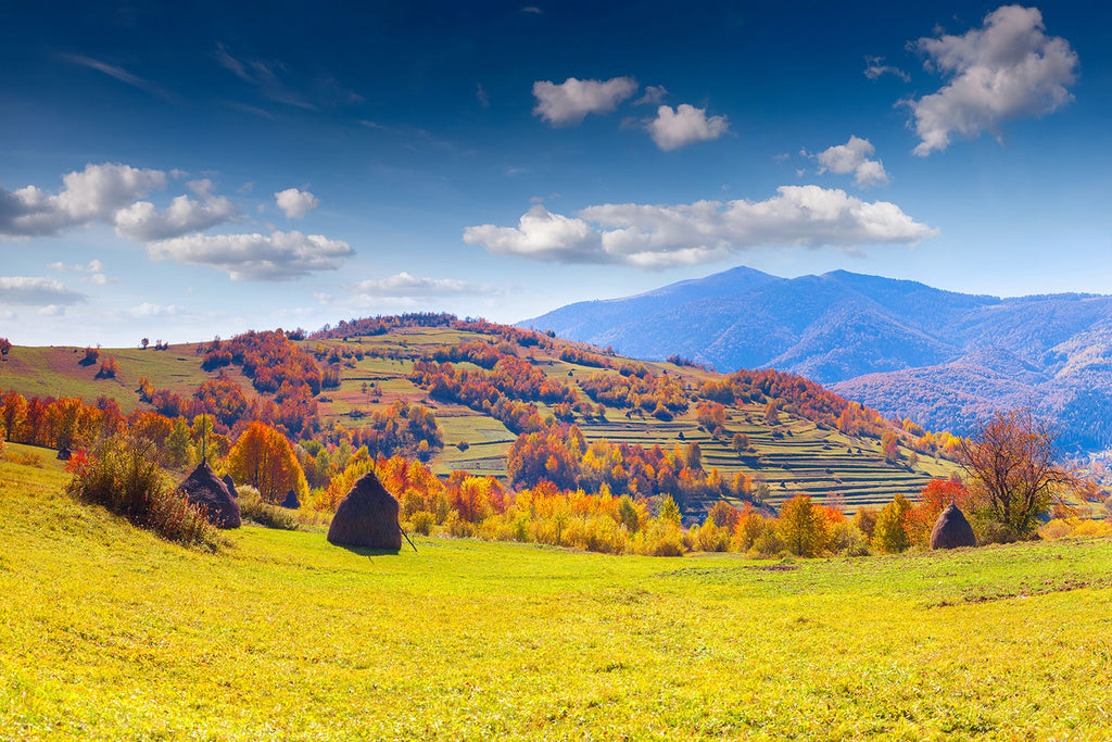 Fototapete Herbstliche Berglandschaft