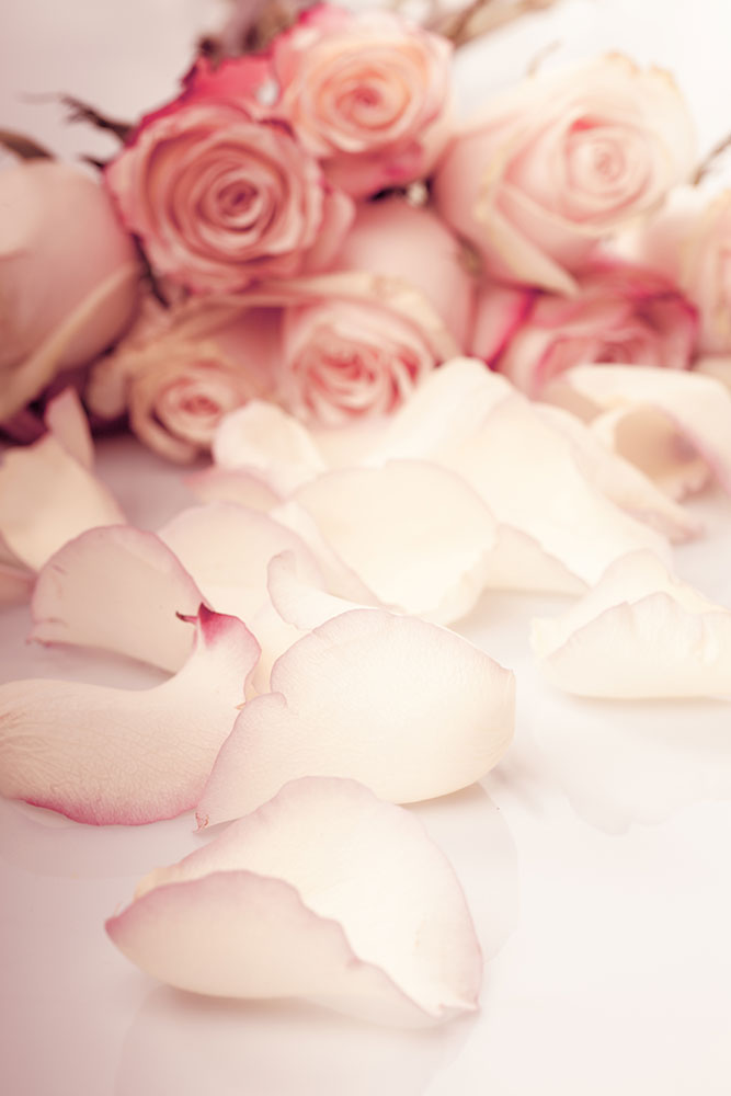 Fototapete Rosen-Blütenblätter