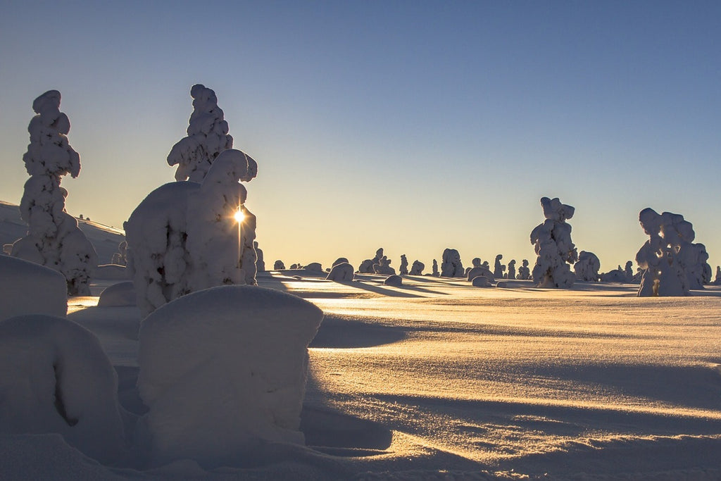 Fototapete In Lappland