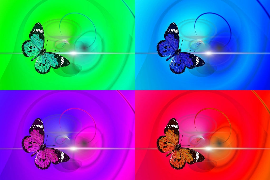 Fototapete Pop Art Bunte Schmetterling