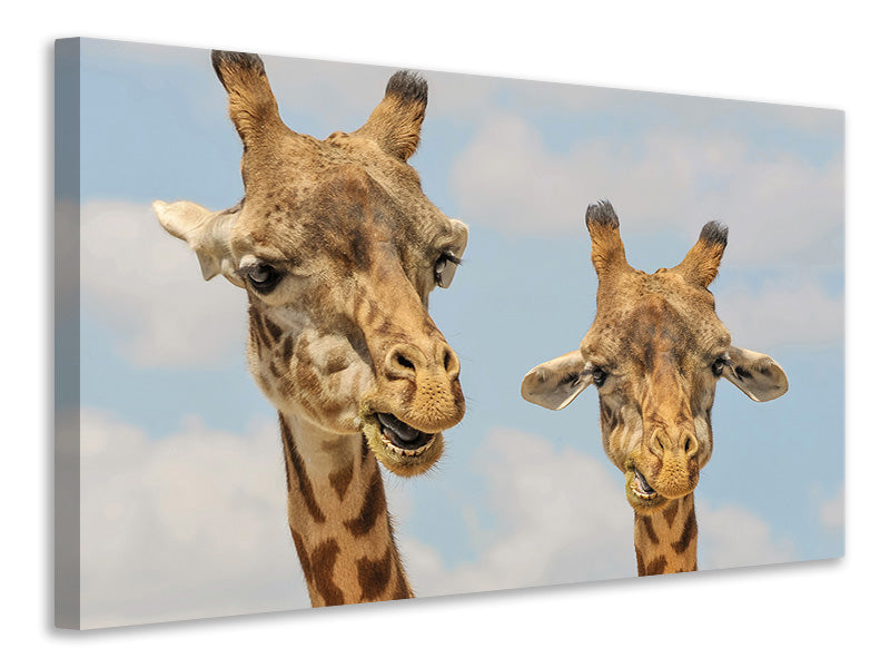 Leinwandbild 2 Giraffen