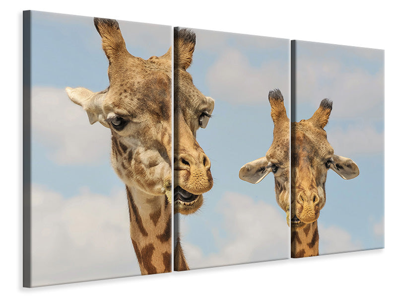 Leinwandbild 3-teilig 2 Giraffen