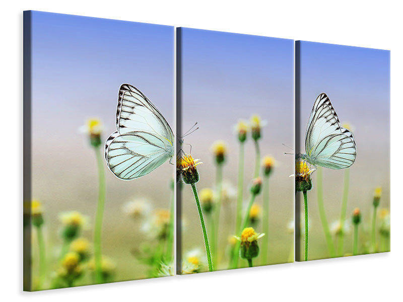 Leinwandbild 3-teilig 2 Schmetterlinge