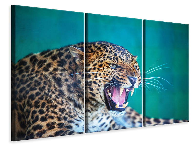 Leinwandbild 3-teilig Achtung Leopard