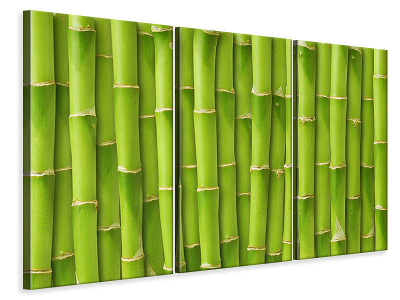 Leinwandbild 3-teilig Bambuswand