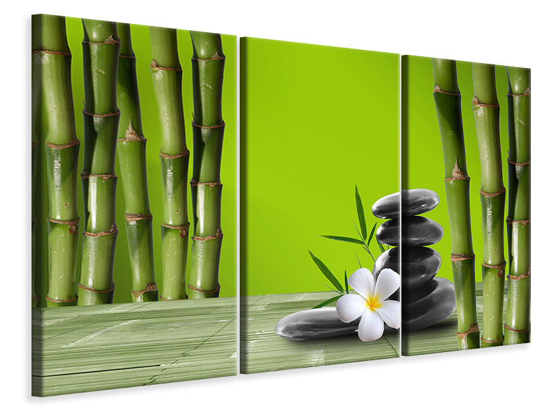 Leinwandbild 3-teilig Der Bambus