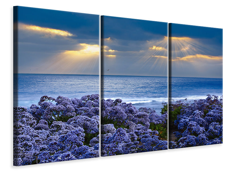 Leinwandbild 3-teilig Der Lavendel und das Meer