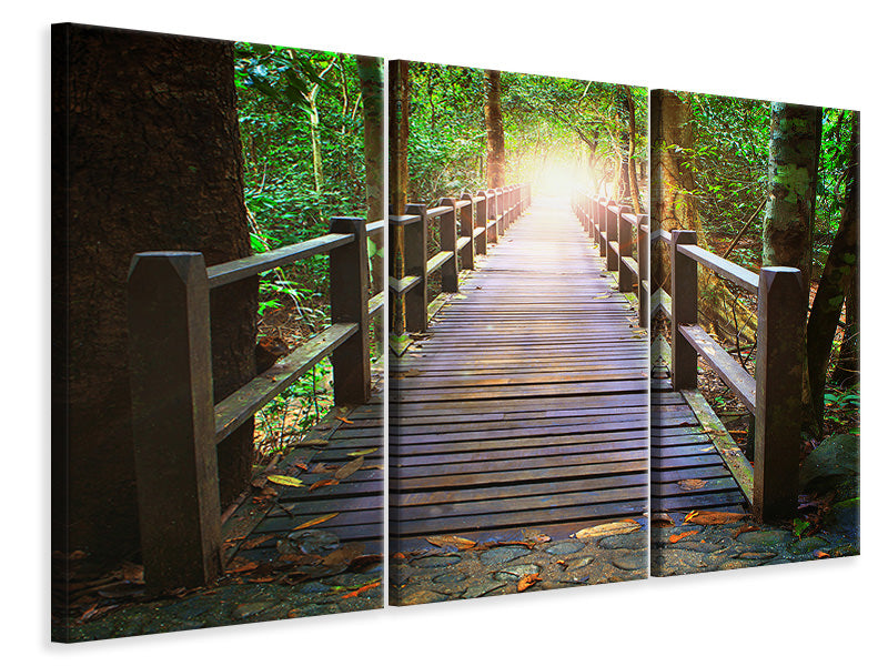 Leinwandbild 3-teilig Die Brücke im Wald