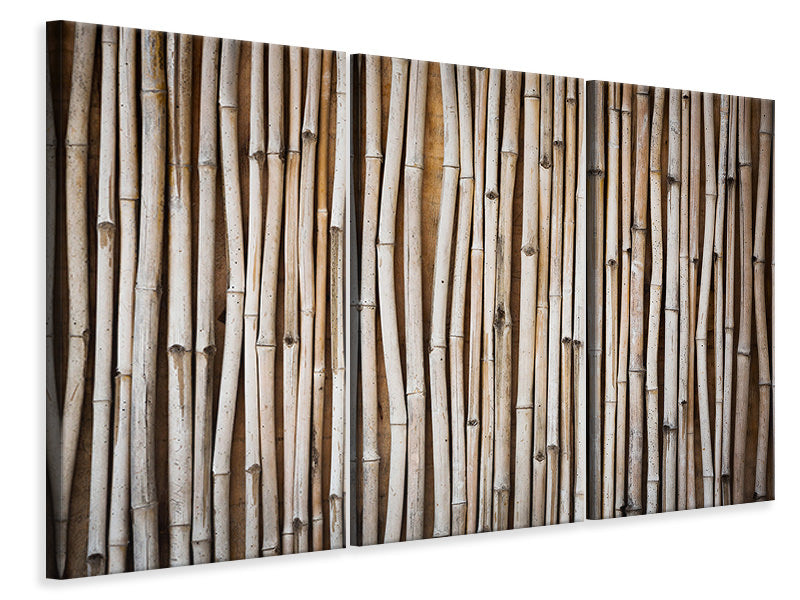 Leinwandbild 3-teilig Getrocknete Bambusrohre